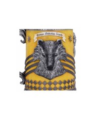 Jarra Hufflepuff Harry Potter
