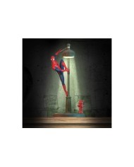 Marvel Lámpara Figura Spiderman 34 cm MARVEL57,95 €57,95 € PALADONE... Marvel Lámpara Figura Spiderman 34 cm MARVEL57,95 €57,95 € PALADONE...