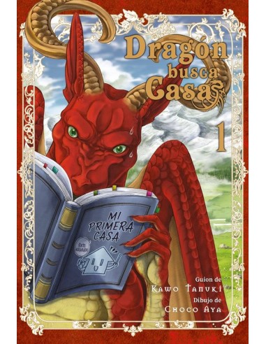 DRAGÓN BUSCA CASA 1  DRAGÓN BUSCA CASA 1