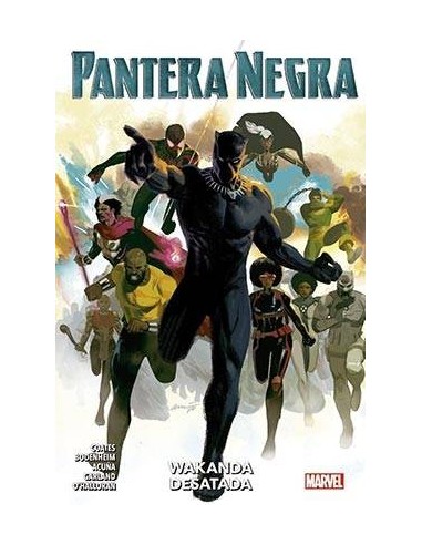 PANTERA NEGRA 04. WAKANDA DESATADA