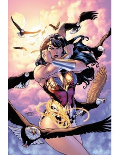 Wonder Woman: ¿Quién es Wonder Woman? (DC Pocket) Wonder Woman: ¿Quién es Wonder Woman? (DC Pocket)
