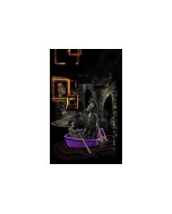 Biblioteca Sandman vol. 07: Vidas breves