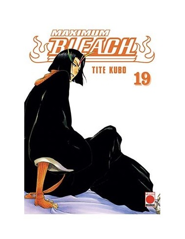 BLEACH MAXIMUM 19