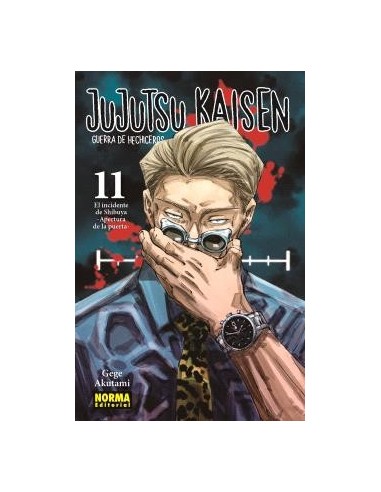 JUJUTSU KAISEN 11