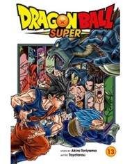 DRAGON BALL SUPER Nº 13 DRAGON BALL SUPER Nº 13
