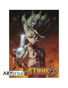 DR STONE - Set 2 carteles de Chibi - Grupo e ilustraciones (52x38) ...