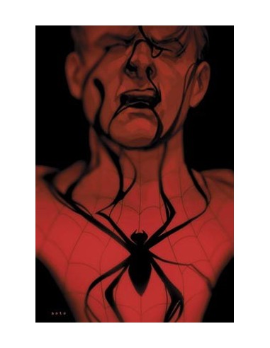 SPIDERMAN: LA SOMBRA DE LA ARAÑA SPIDERMAN: LA SOMBRA DE LA ARAÑA