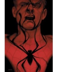 SPIDERMAN: LA SOMBRA DE LA ARAÑA SPIDERMAN: LA SOMBRA DE LA ARAÑA