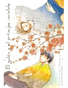 EL GALAN Y EL PRINCIPE INVISIBLE EL GALAN Y EL PRINCIPE INVISIBLE