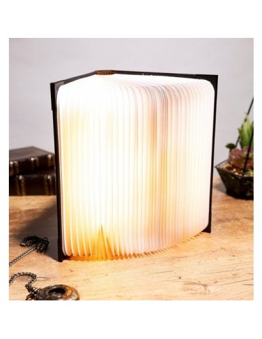 LAMPARA HARRY POTTER LUMOS MAXIMA TOM RIDDLE