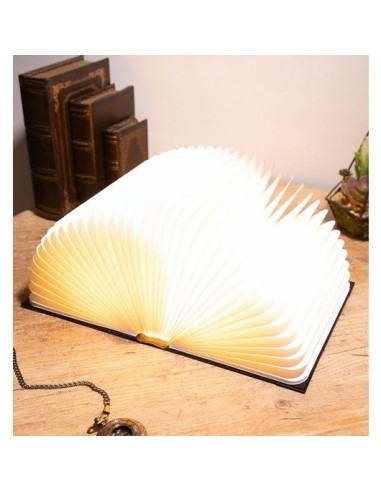 LAMPARA HARRY POTTER LUMOS MAXIMA TOM RIDDLE