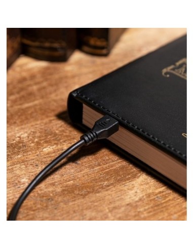 LAMPARA HARRY POTTER LUMOS MAXIMA TOM RIDDLE