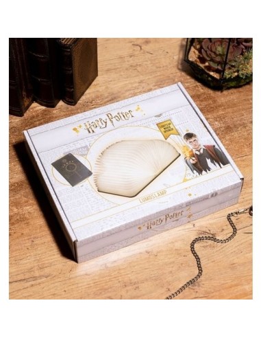 LAMPARA HARRY POTTER LUMOS MAXIMA TOM RIDDLE