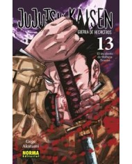 JUJUTSU KAISEN 13