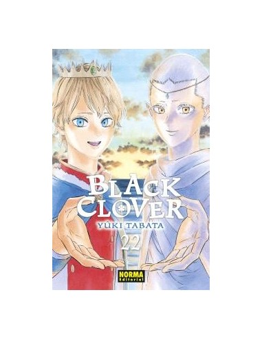 BLACK CLOVER 22