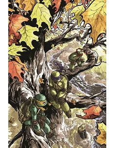 Las Tortugas Ninja vol. 07