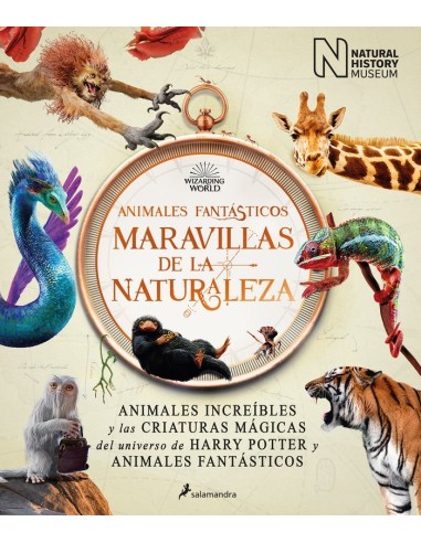 ANIMALES FANTASTICOS MARAVILLAS DE LA NATURALEZA HARRY POTTER21,95 ...