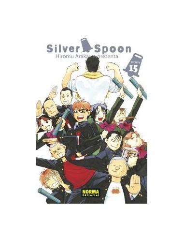 SILVER SPOON 15