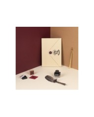 SET CALIGRAFIA HARRY POTTER SOBRE PLUMA BOLI TINTA SELLO