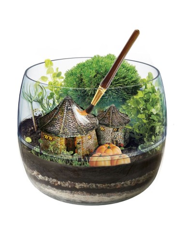 Terrarium Harry Potter Terrarium Harry Potter