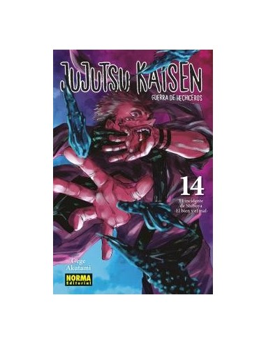 JUJUTSU KAISEN 14 JUJUTSU KAISEN 14
