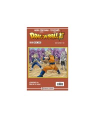 DRAGON BALL SERIE ROJA 291