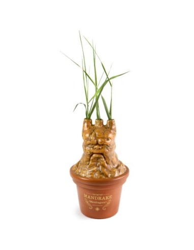 Tarro Multiusos Harry potter Mandragora Tarro Multiusos Harry potter Mandragora