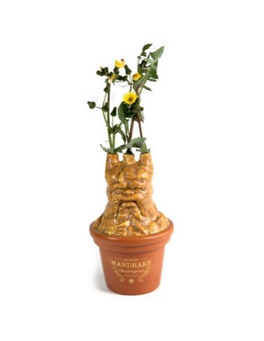 Tarro Multiusos Harry potter Mandragora Tarro Multiusos Harry potter Mandragora
