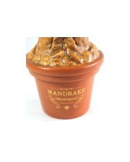 Tarro Multiusos Harry potter Mandragora Tarro Multiusos Harry potter Mandragora