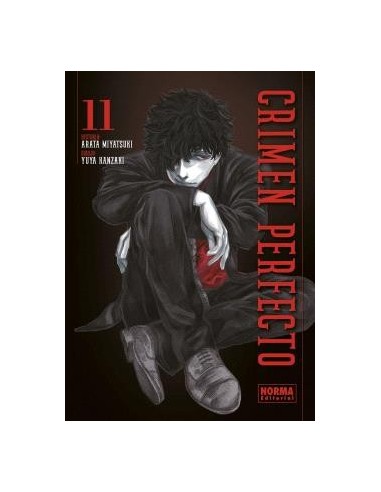 CRIMEN PERFECTO 11