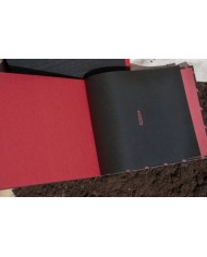 WW1 RELATOS DE LA GRAN GUERRA 1914-1918 9788409255191  20,00 €