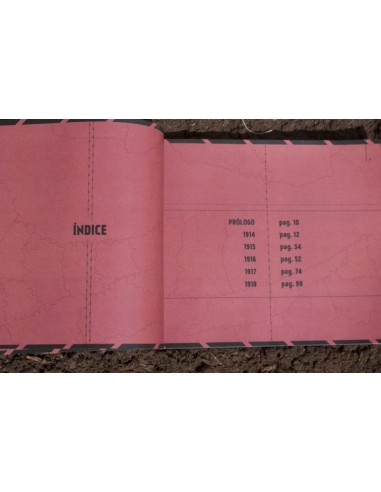 WW1 RELATOS DE LA GRAN GUERRA 1914-1918 9788409255191  20,00 €