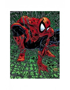 MARVEL MUST-HAVE. SPIDERMAN: TORMENTO