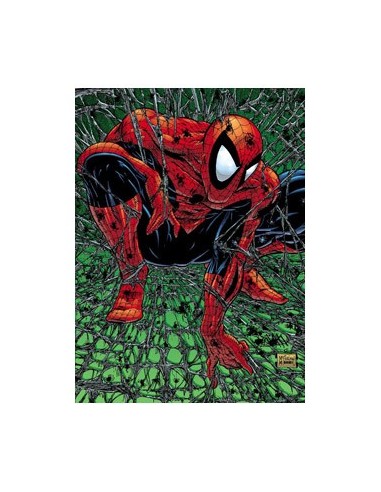 MARVEL MUST-HAVE. SPIDERMAN: TORMENTO MARVEL MUST-HAVE. SPIDERMAN: TORMENTO