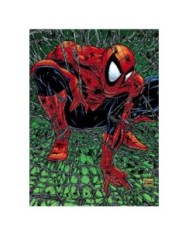 MARVEL MUST-HAVE. SPIDERMAN: TORMENTO MARVEL MUST-HAVE. SPIDERMAN: TORMENTO