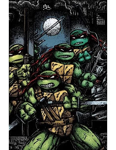 Las Tortugas Ninja: La serie original vol. 6 de 6