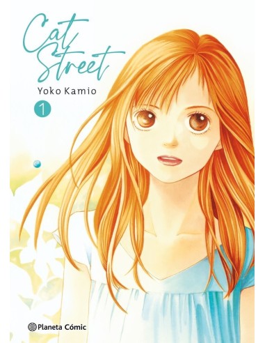 CAT STREET 1 NE CAT STREET 1 NE