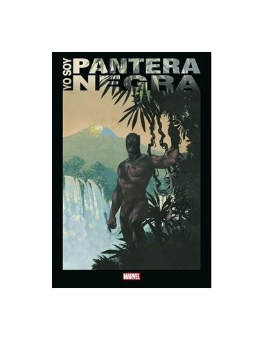 YO SOY PANTERA NEGRA YO SOY PANTERA NEGRA
