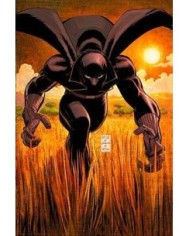 MARVEL MUST-HAVE. ¿QUIEN ES PANTERA NEGRA?