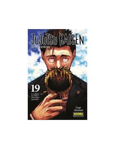 JUJUTSU KAISEN 19