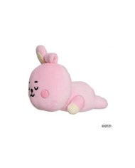 COJIN BT21 COOKY 5034566614437