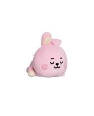 COJIN BT21 COOKY KPOP27,95 €27,95 €  KPOP