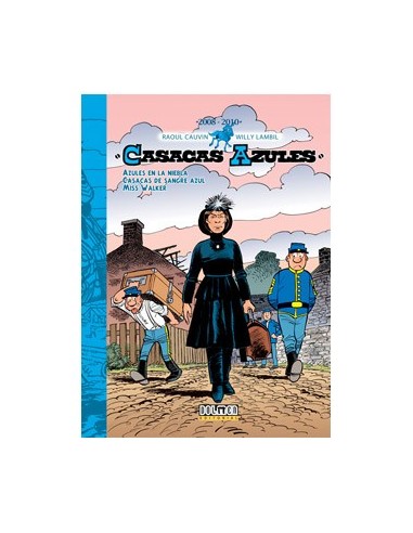 CASACAS AZULES 2008-2010