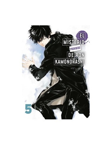 EL MISTERIO PROHIBIDO DE RON KAMONOHASHI 05