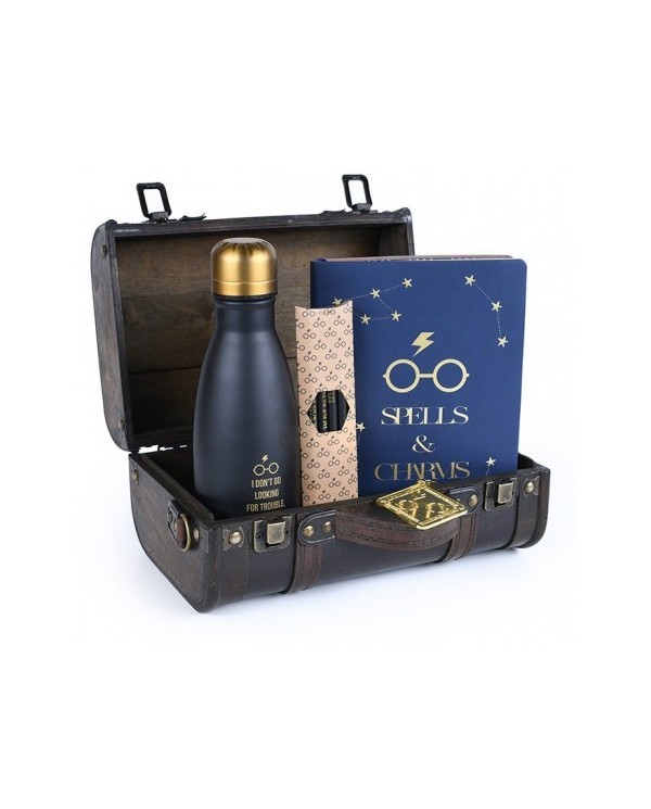 Pack Regalo Premium Harry Potter Baúl Hogwarts 5050293855363