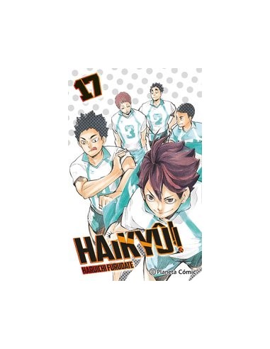 9788411402354  HAIKYE 17