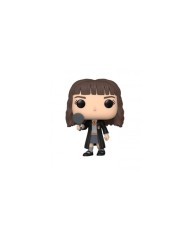 Funko POP! HP CoS 20th Hermione Harry Potter  889698656535
