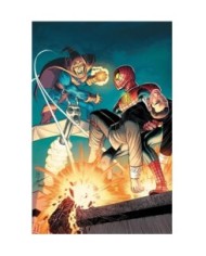 977000533900900217 EL ASOMBROSO SPIDERMAN 8