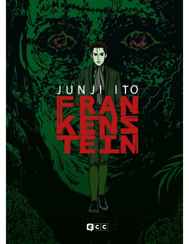 FRANKENSTEIN - JUNJI ITO  9788418293917 FRANKENSTEIN - JUNJI ITO  9788418293917