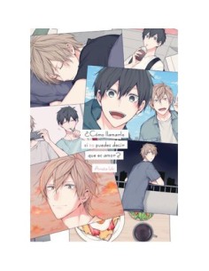 9788419610133 ¿COMO LLAMARLO SI NO PUEDES DECIR QUE ES AMOR? 9788419610133 ¿COMO LLAMARLO SI NO PUEDES DECIR QUE ES AMOR?